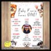 Digital mockup of a Cute Peeking Dogs theme milestone board