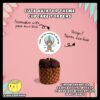 Digital mockup of a cute aviator theme cupcake topper design F