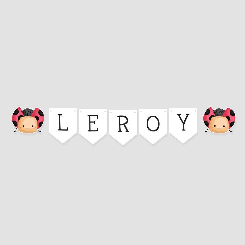 Personalised Lady Bug Theme Bunting Banner | Singapore - Image 2